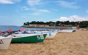 Les rameurs du Mans ont vaincu le Fort (Boyard) !