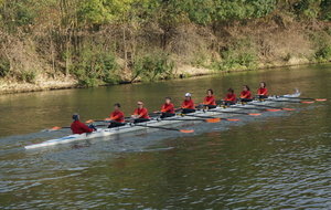 58cf841ca263e_DSC07876.JPG