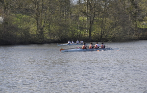 58e7b51d9ce36_DSC0223.JPG