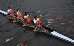 59f6cce235764_DSC0223.JPG
