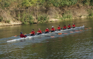 Coupe des Dames