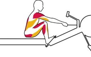 TEST ERGO LMSA