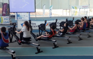 Chp Reg Aviron InDoor