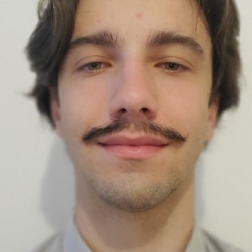 Raphaël Bricaud